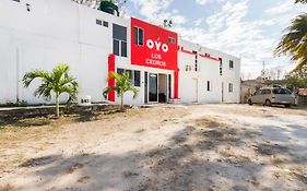 Hotel Cedros